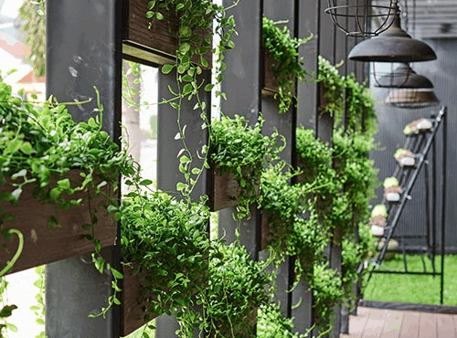 Tiện ích gần kề hoàn hảo tại Sycamore Bình Dương