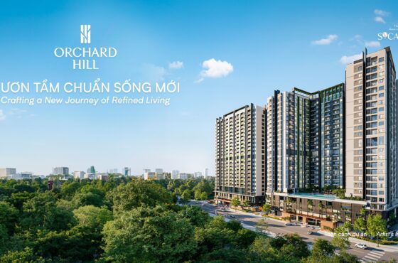 Chính thức Sự kiện ra mắt Đặc biệt Orchard Hill Sycamore 26.10.2024