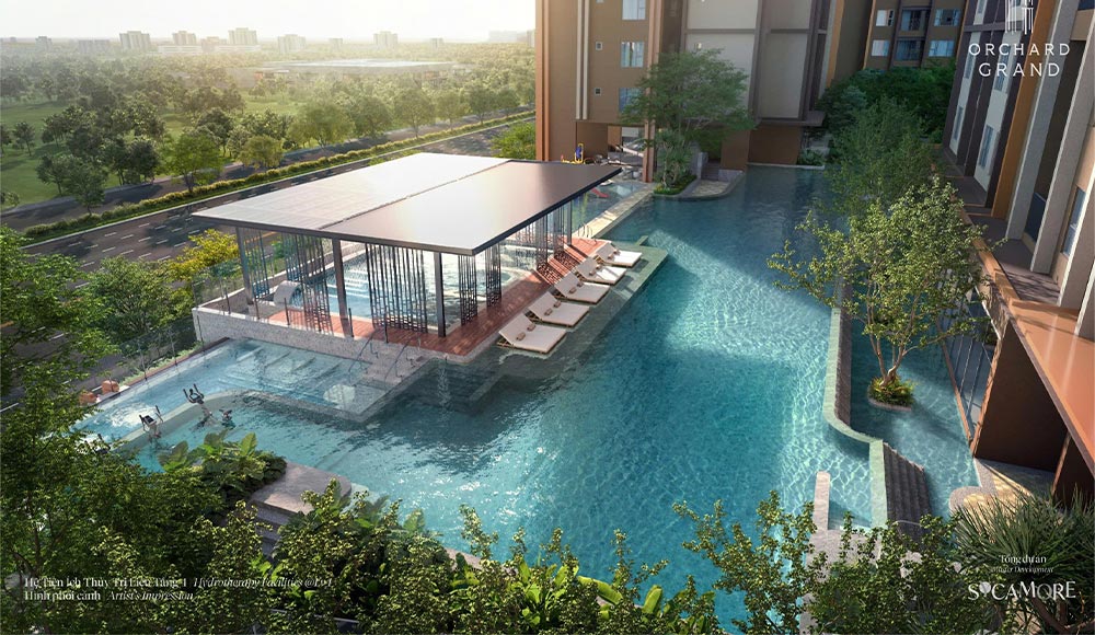 Orchard-Grand-Sycamore-thuy-tri-lieu