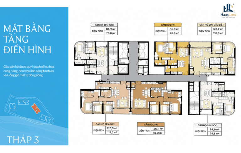 Phân tích và đánh giá mặt bằng Dự án Palm River