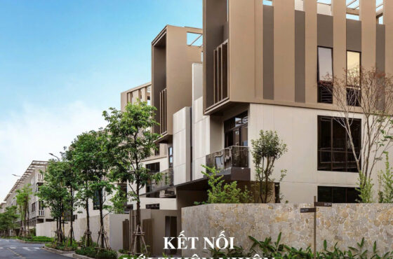 The Orchard Sycamore – Dấu ấn phân khu thấp tầng đầu tiên tại Đại đô thị